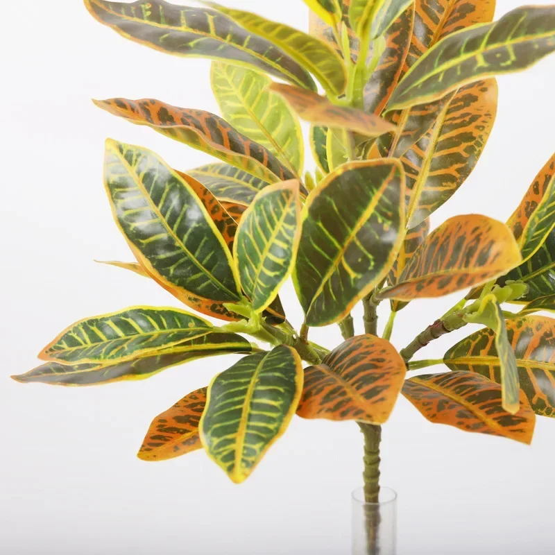 Plastic Artificial Color-chang - Dracaena Marginata recensione e prezzo