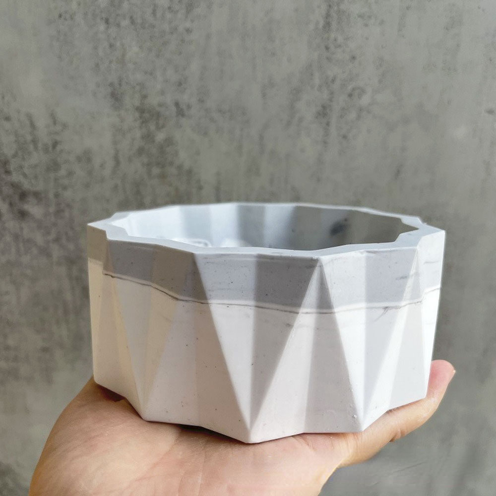For Fun Flower Pot Silicone Mo - Echeveria Succulent recensione e prezzo
