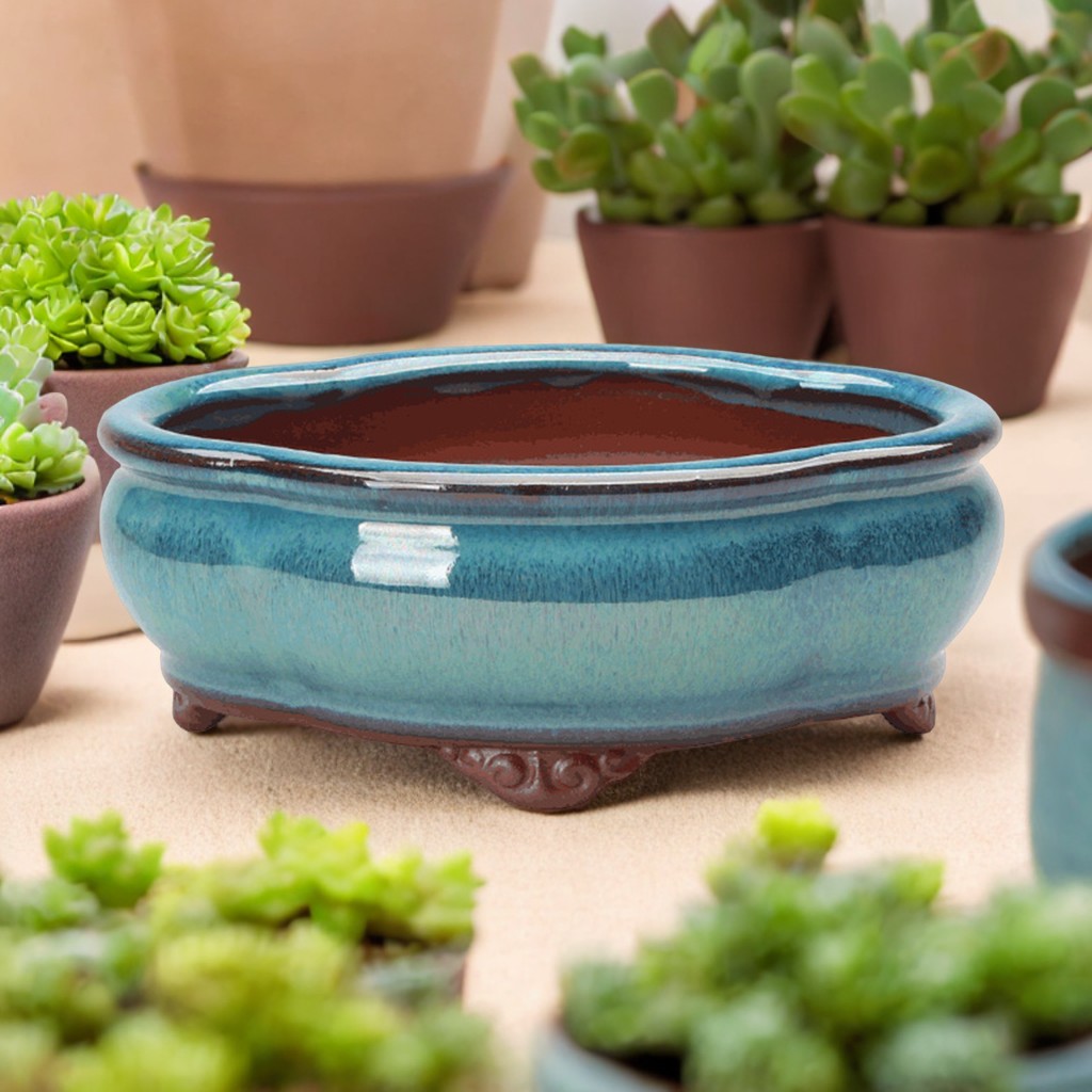 Ceramic Succulent Flower Pot C - Pilea Peperomioides recensione e prezzo